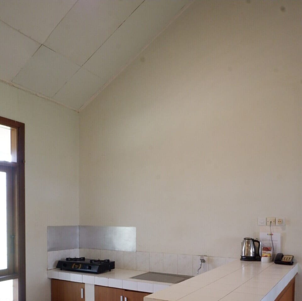 Fridge, electric kettle