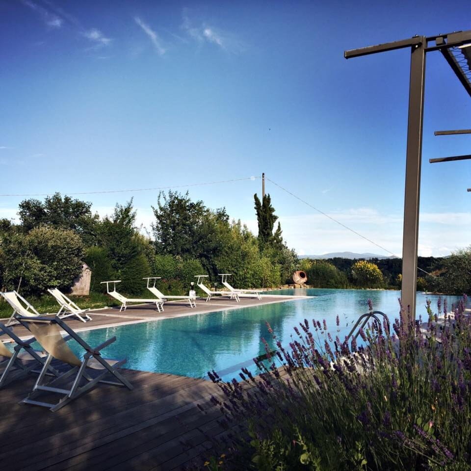 Swimming Pool, Landscaping, Garden, Outdoor Furniture, Eco Hotel, Resort, Villa, Backyard, Evergreen