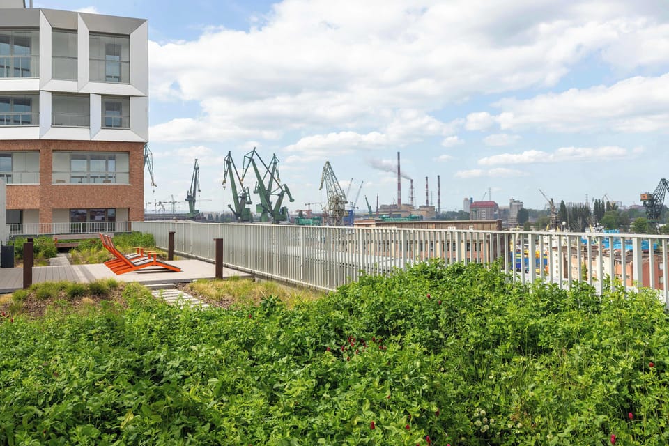 Terrace with plants, deck chairs with a beautiful view of the center of Gdansk and the iconic shipyard.