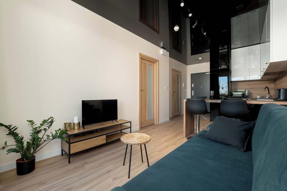 Another angle of the living room, showing the seating area facing a wooden entertainment unit with a potted plant.