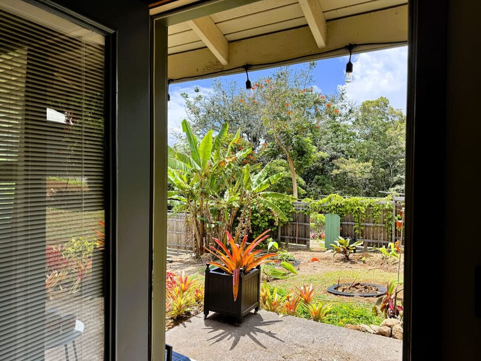 Backdoor - view to backyard