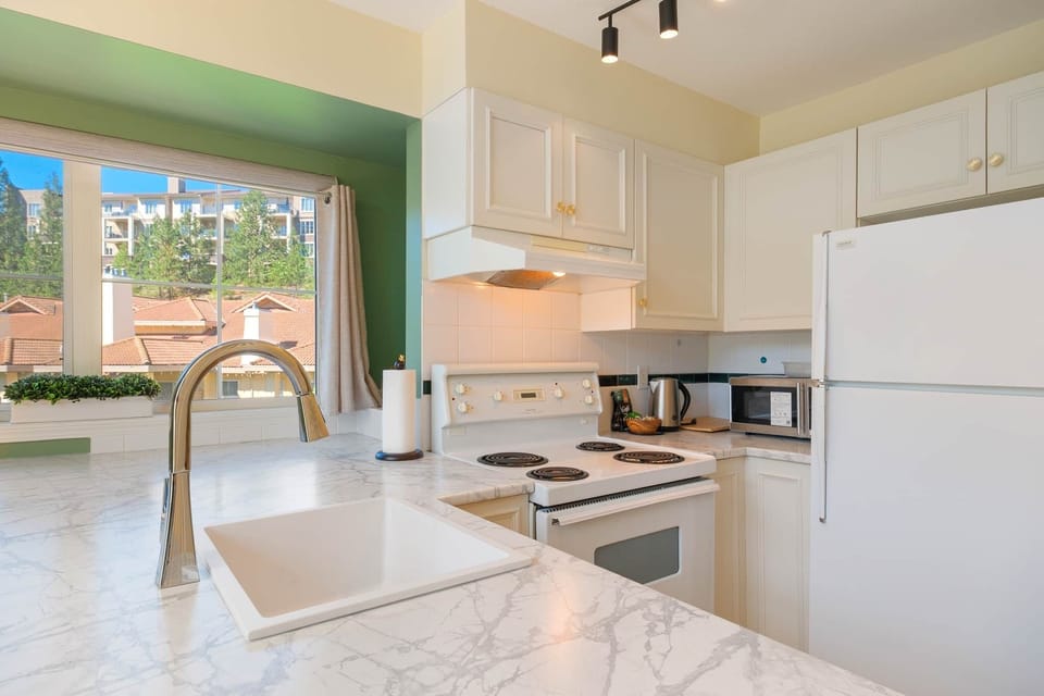 Unit 313 Kitchen