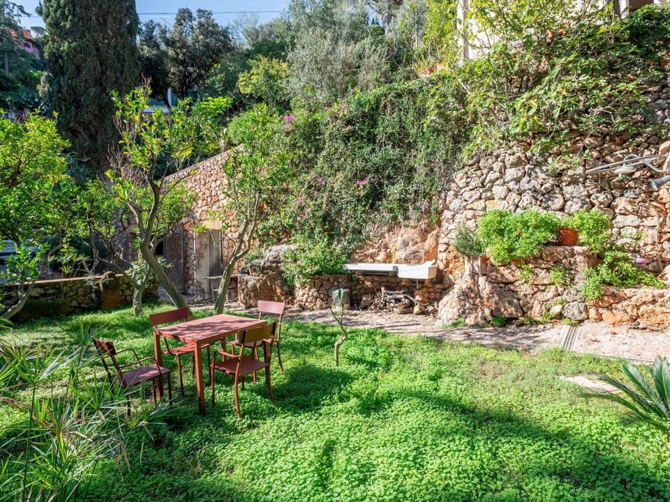 Vegetation, Shrub, Garden, Plant Community, Groundcover, Backyard, Landscaping, Yard, Botanical Garden, Eco Hotel