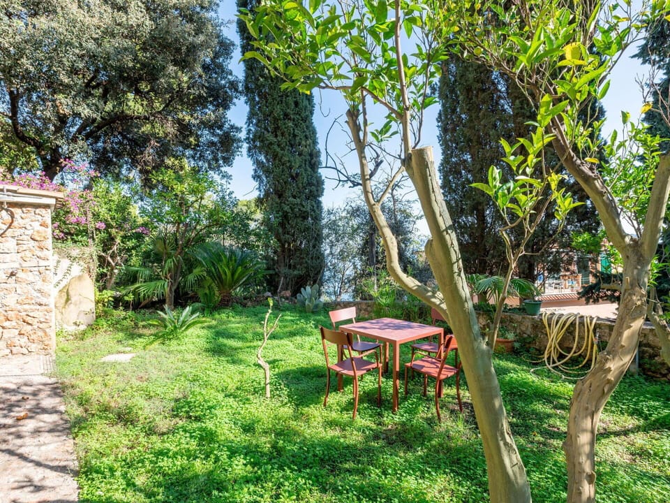Leaf, Vegetation, Shrub, Garden, Groundcover, Spring, Shade, Backyard, Landscaping, Yard