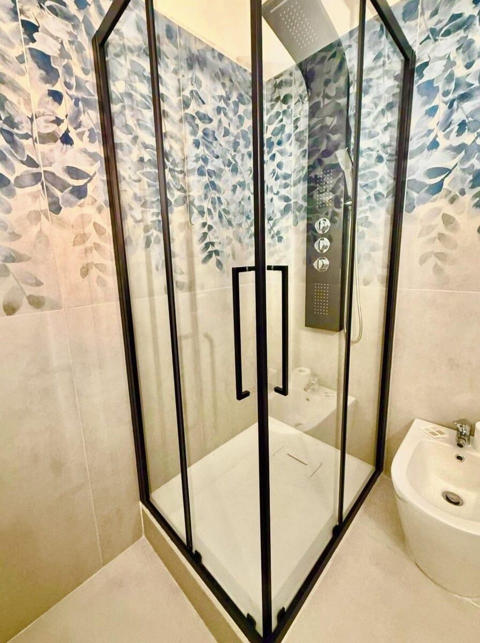 Shower, hydromassage showerhead, free toiletries, hair dryer