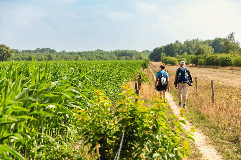 Surroundings [summer] (1-5 km)