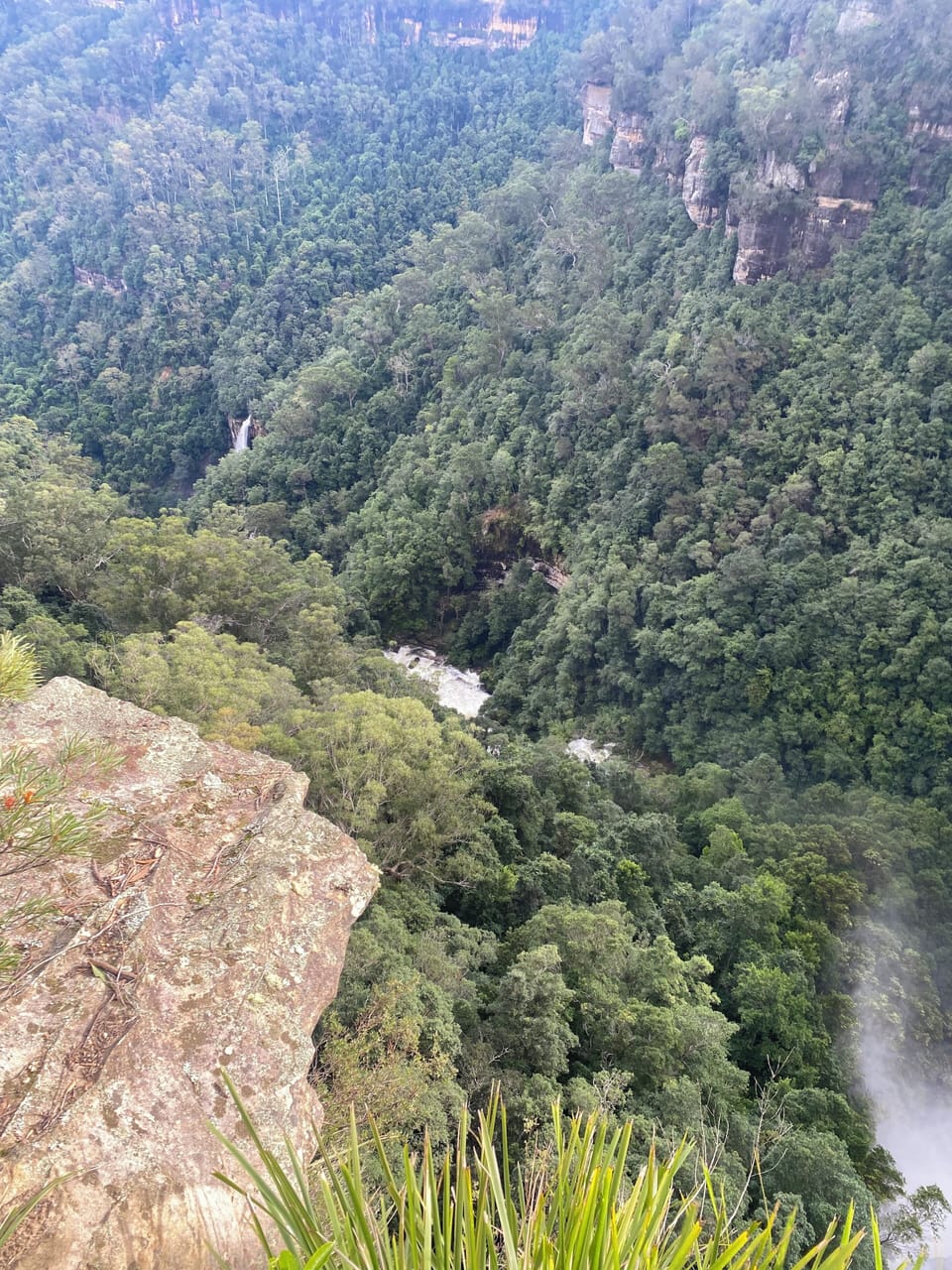 Fitzroy Falls 3 km away 