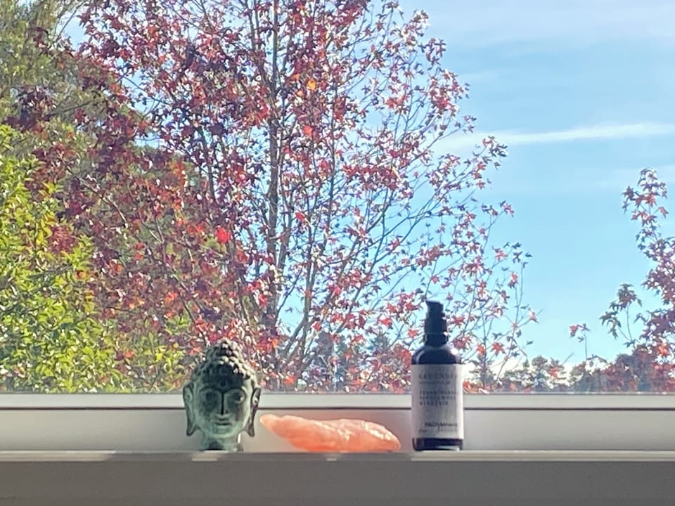 Room with a view 