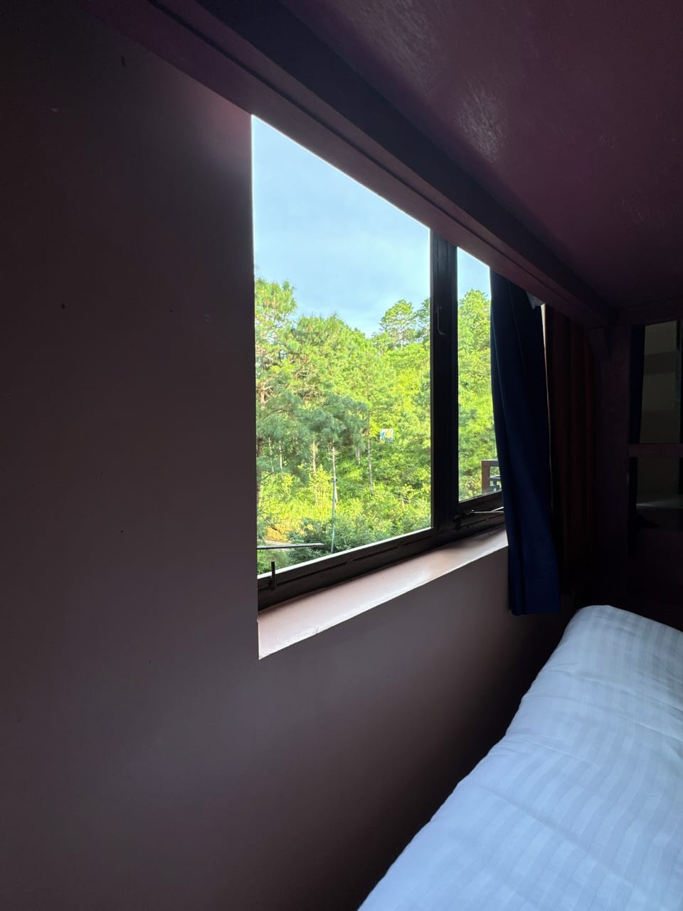 Deluxe Shared Dormitory, Mixed Dorm, Balcony | Individually furnished, free WiFi