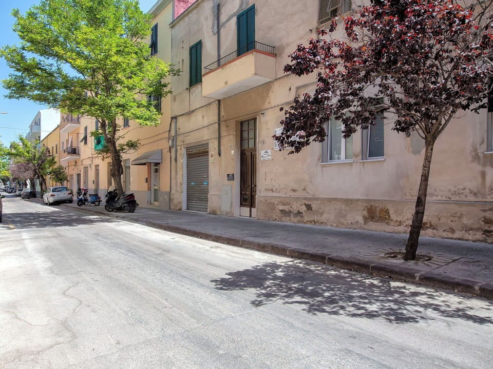 Building, Road Surface, Branch, Road, Residential Area, Street, Town, Neighbourhood, Asphalt, Public Space