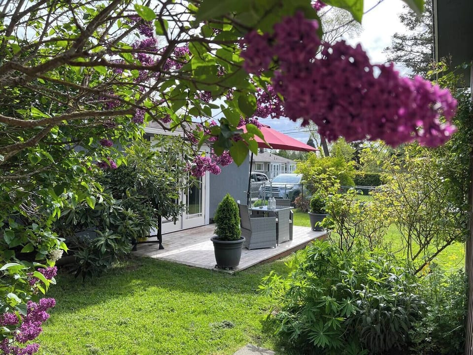 Springtime lilacs from the Bunkie's entrance.