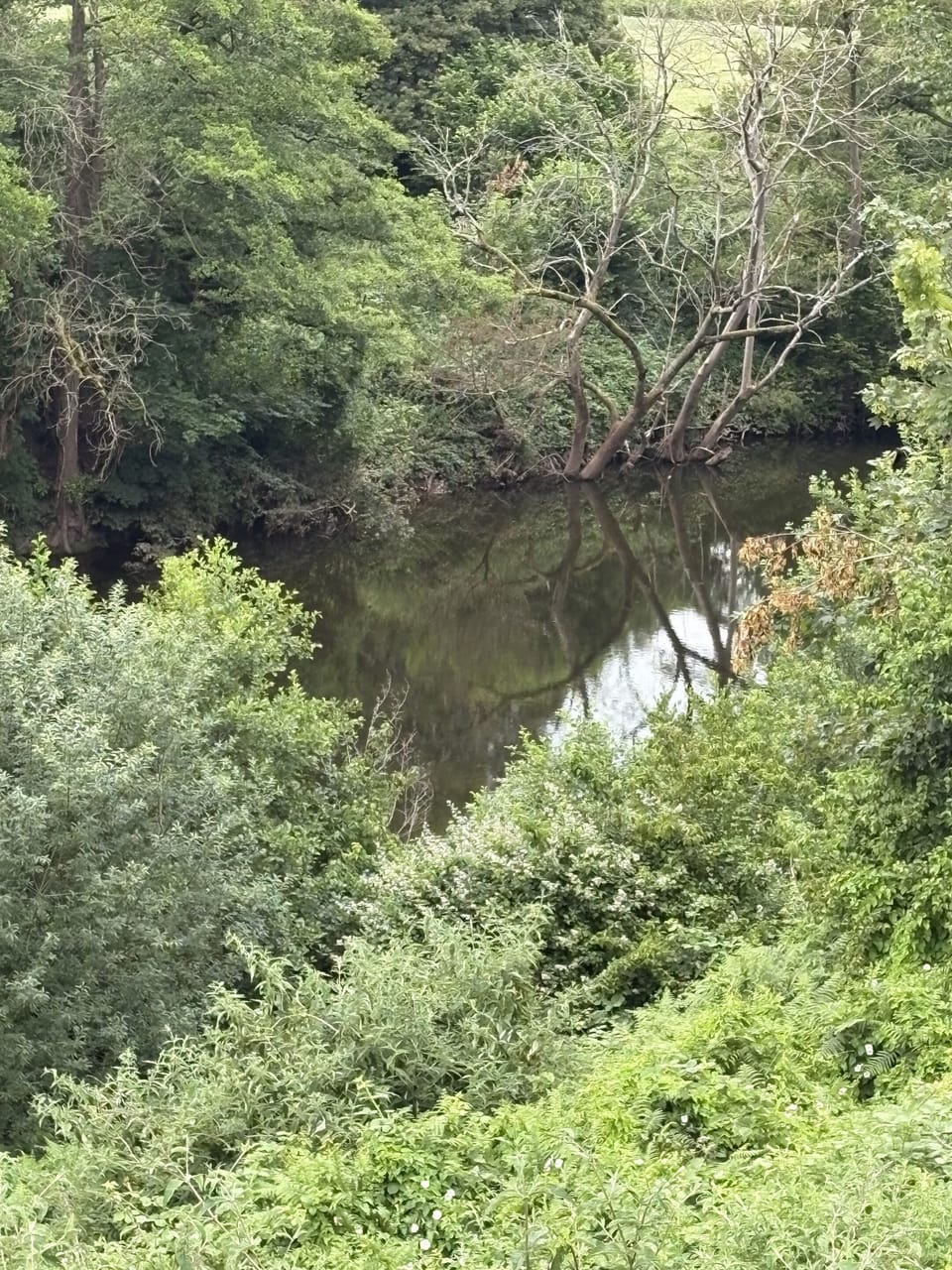 Standard Twin Room, Ensuite, River View | Point of interest