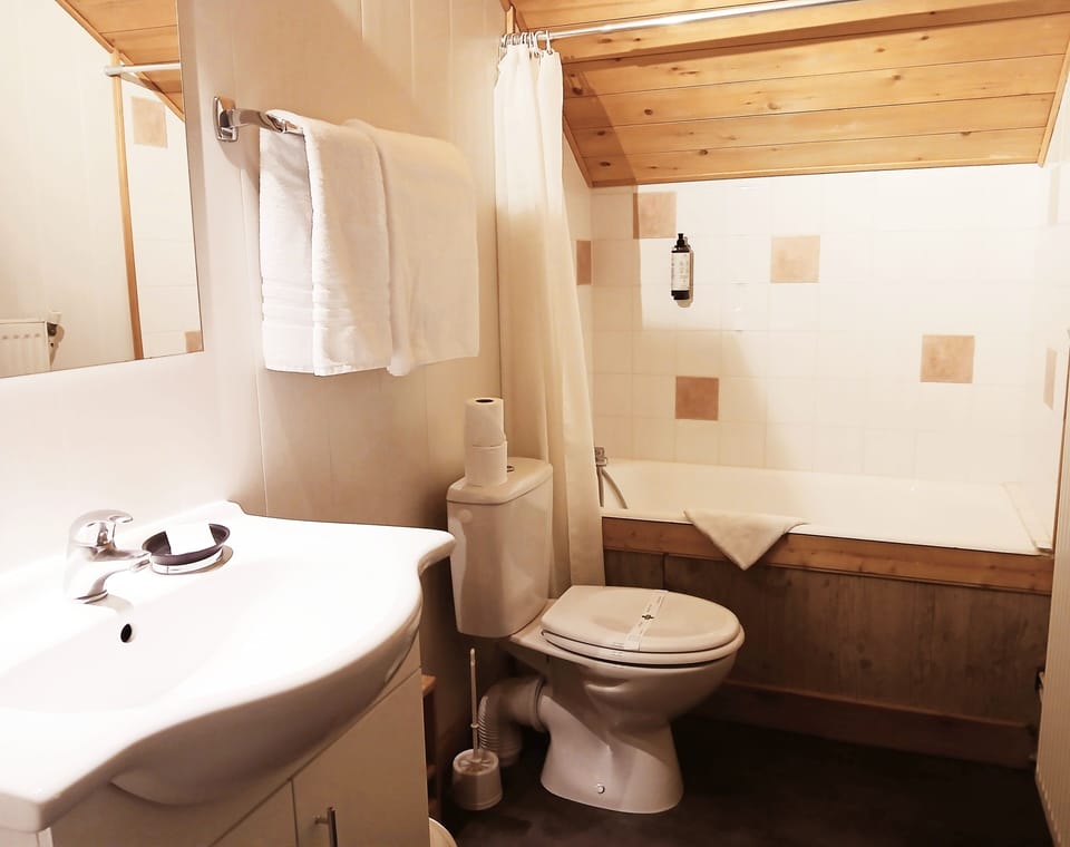 Traditional Double Room, Mountain View | Bathroom | Hair dryer, slippers, towels, soap