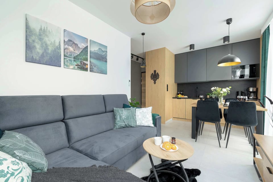 Comfortable, fold-out sofa in the living room. 