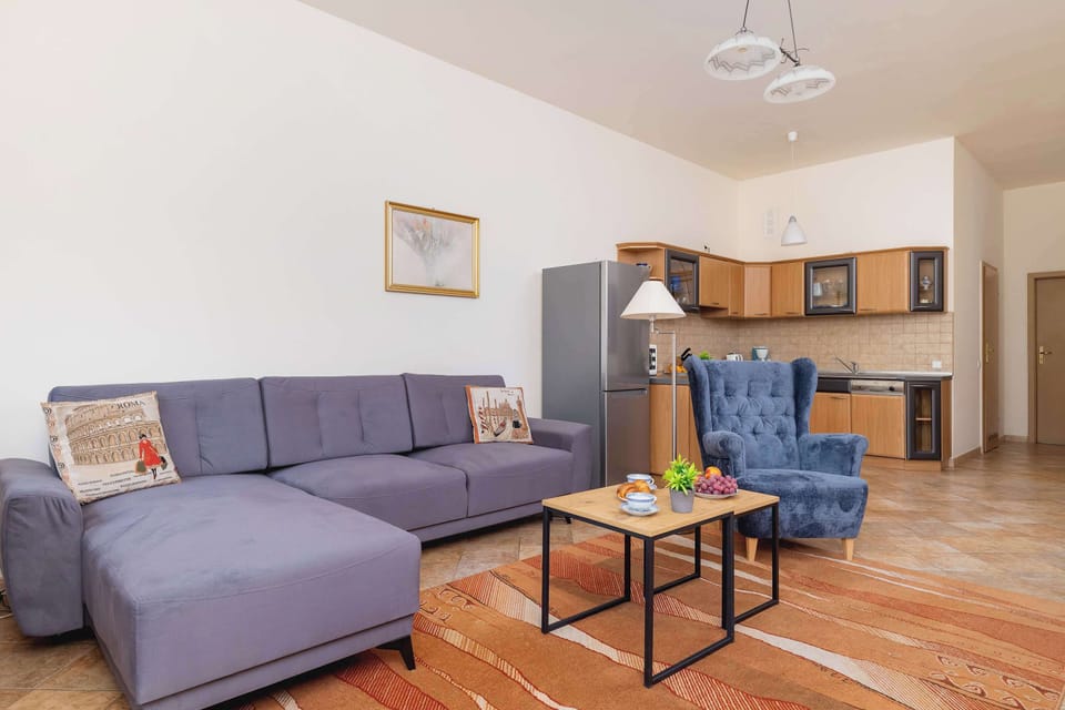 Spacious living room with a sofa bed, TV, kitchenette and access to the terrace.