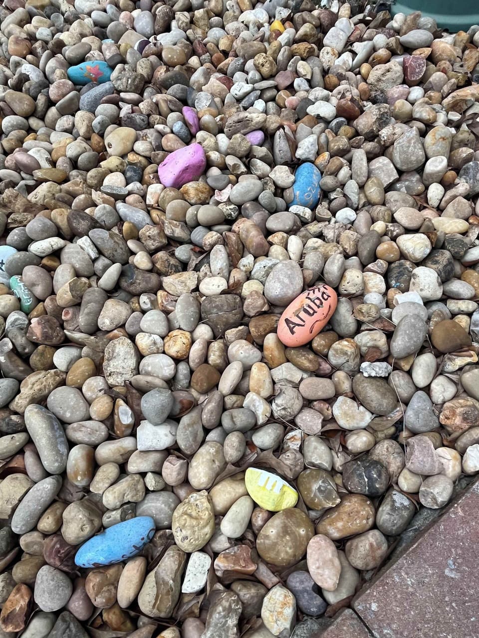 Rock painting - Paint and leave one for our rock garden! 