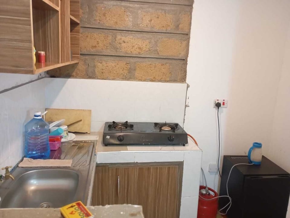 Deluxe Apartment, City View | Private kitchen | Fridge, microwave, cookware/dishes/utensils