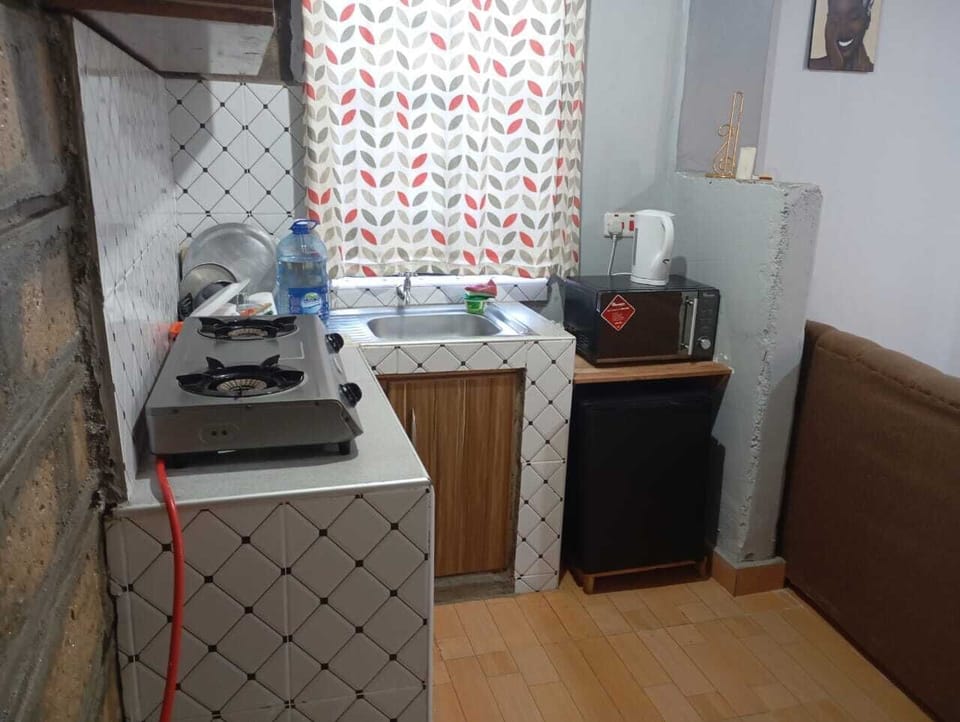 Deluxe Apartment, City View | Private kitchen | Fridge, microwave, cookware/dishes/utensils