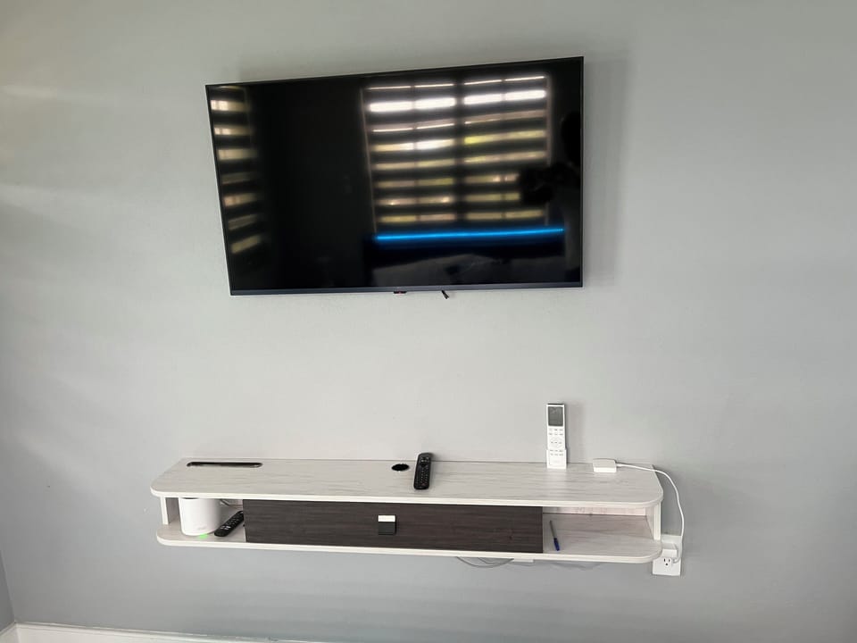 Television