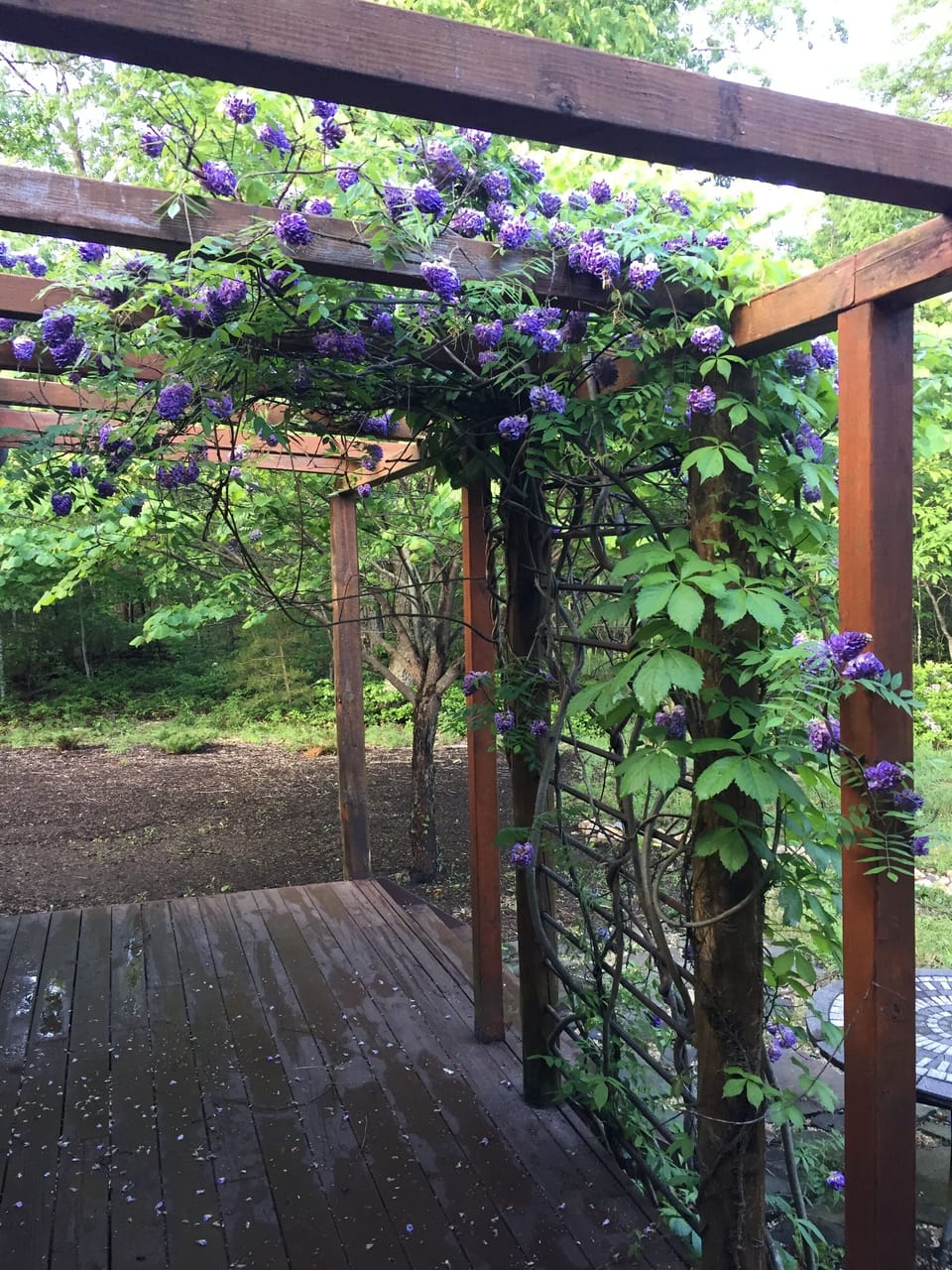 Arbor off enclosed deck