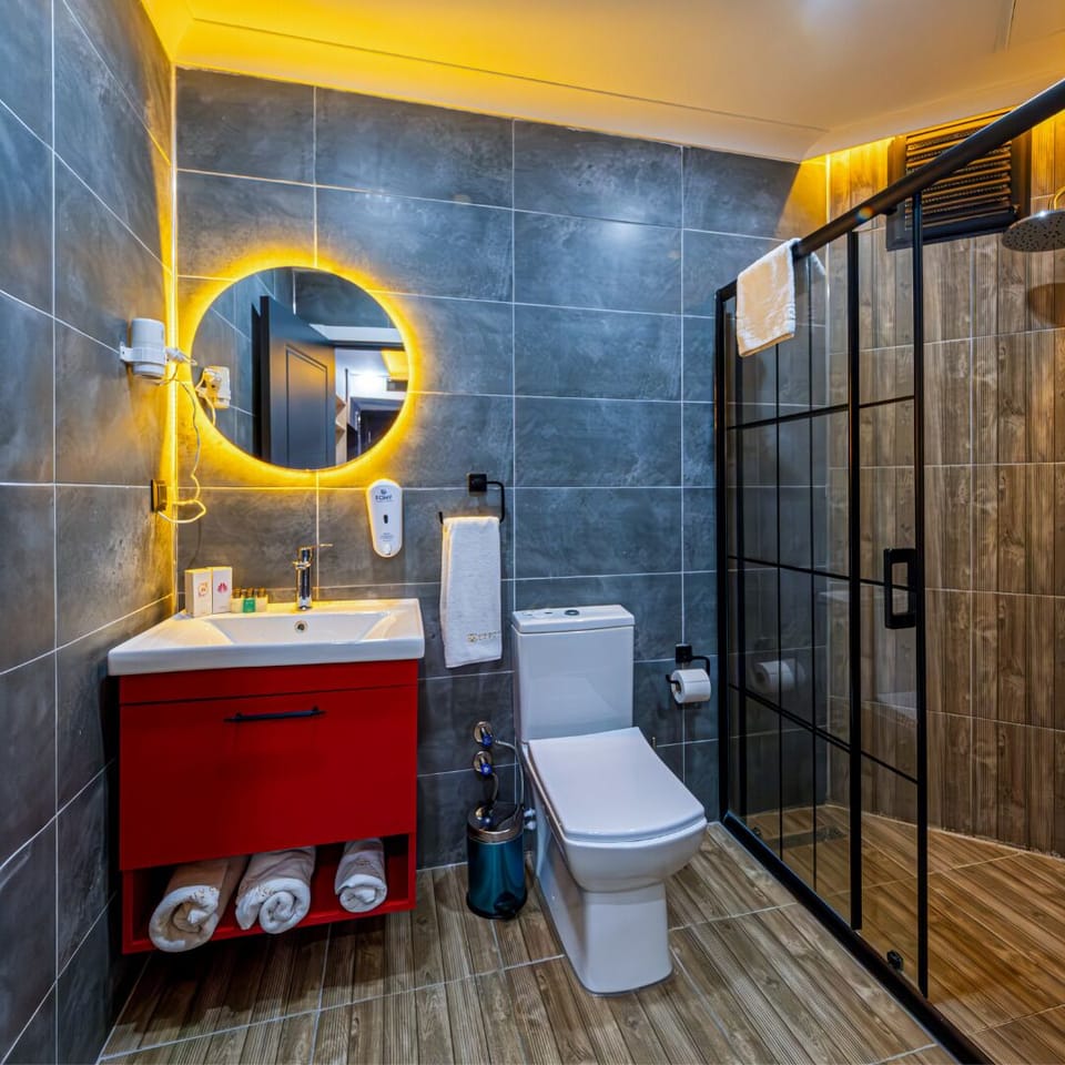 Shower, hair dryer, bathrobes, slippers