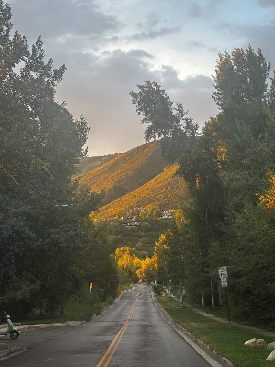 Summer colors after a rainstorm, looking out of the entrance to the apartment
