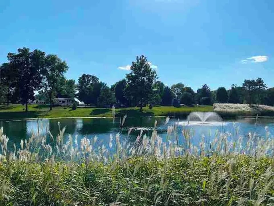 Sip coffee as reeds sway along the tranquil shoreline.