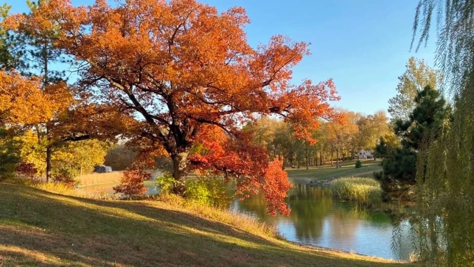 Unwind beside shimmering water framed by vibrant autumn color.