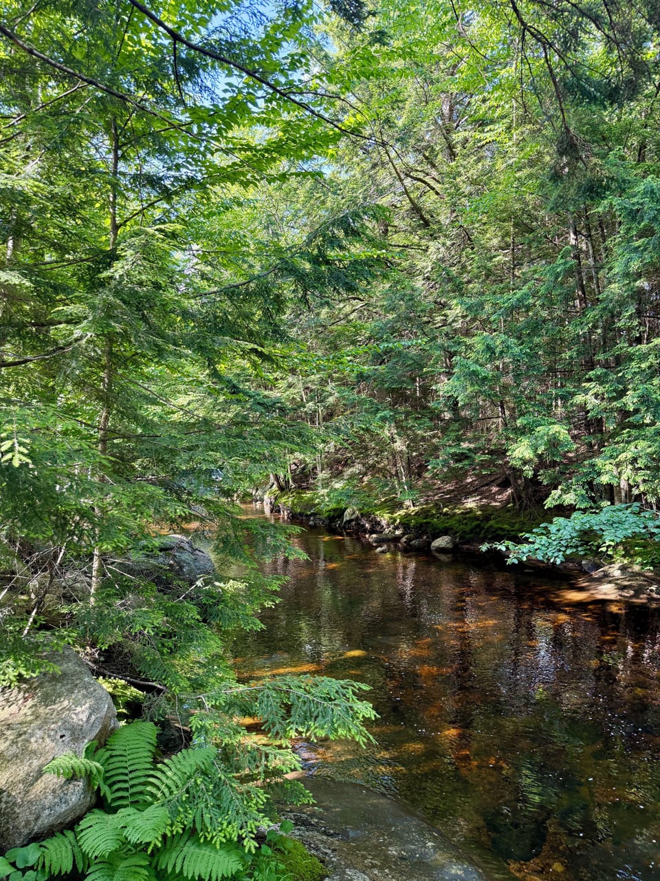 Beautiful Harvard Brook