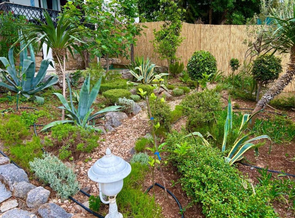 House (Three Bedroom House) | Garden