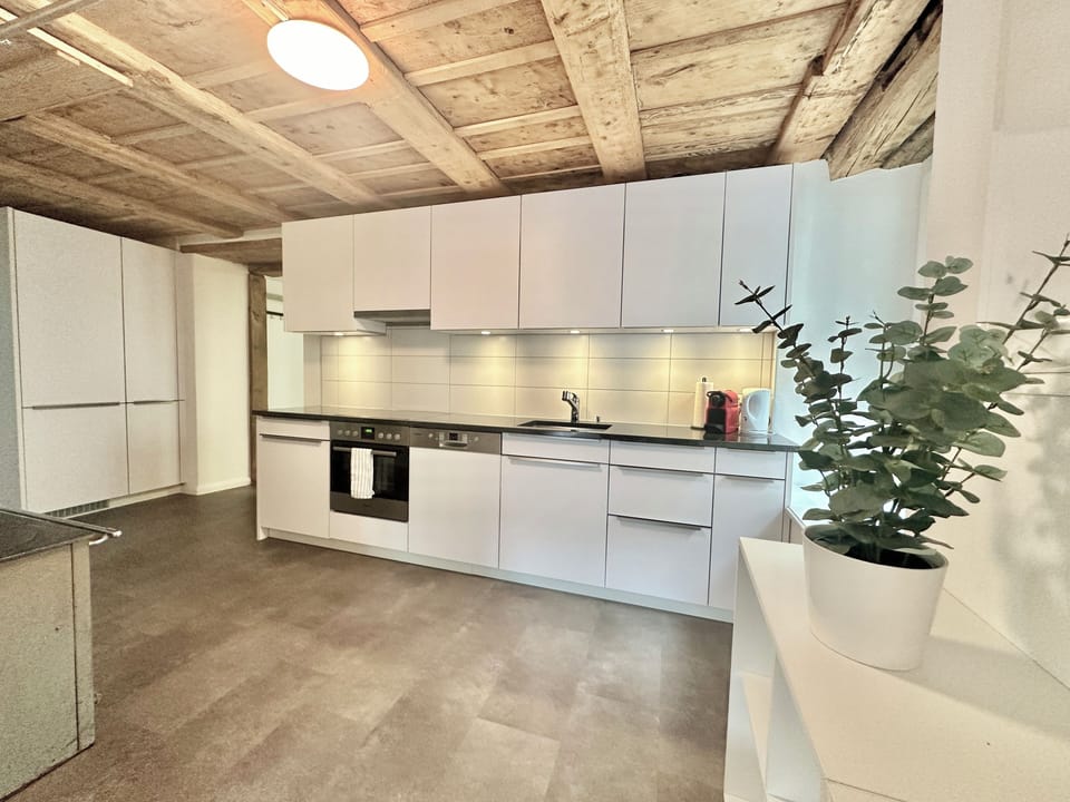 Business Apartment | Private kitchen | Fridge, oven, stovetop, dishwasher