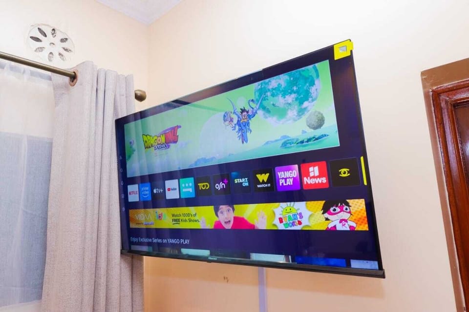 Television