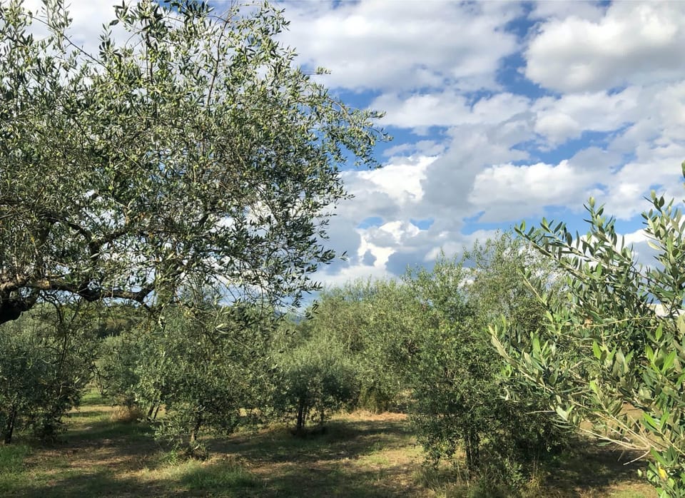 Surrounded by nature