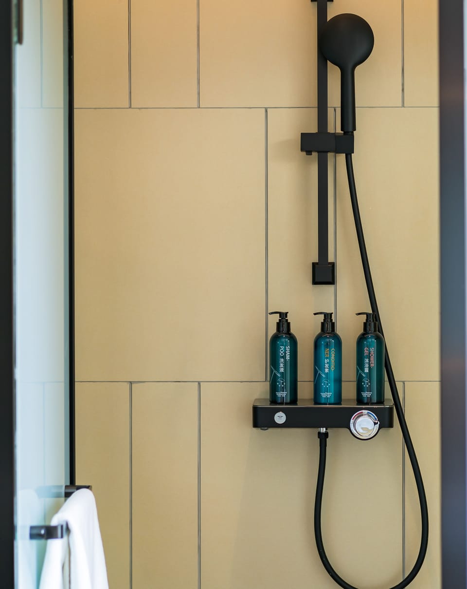 Shower, free toiletries, hair dryer, towels