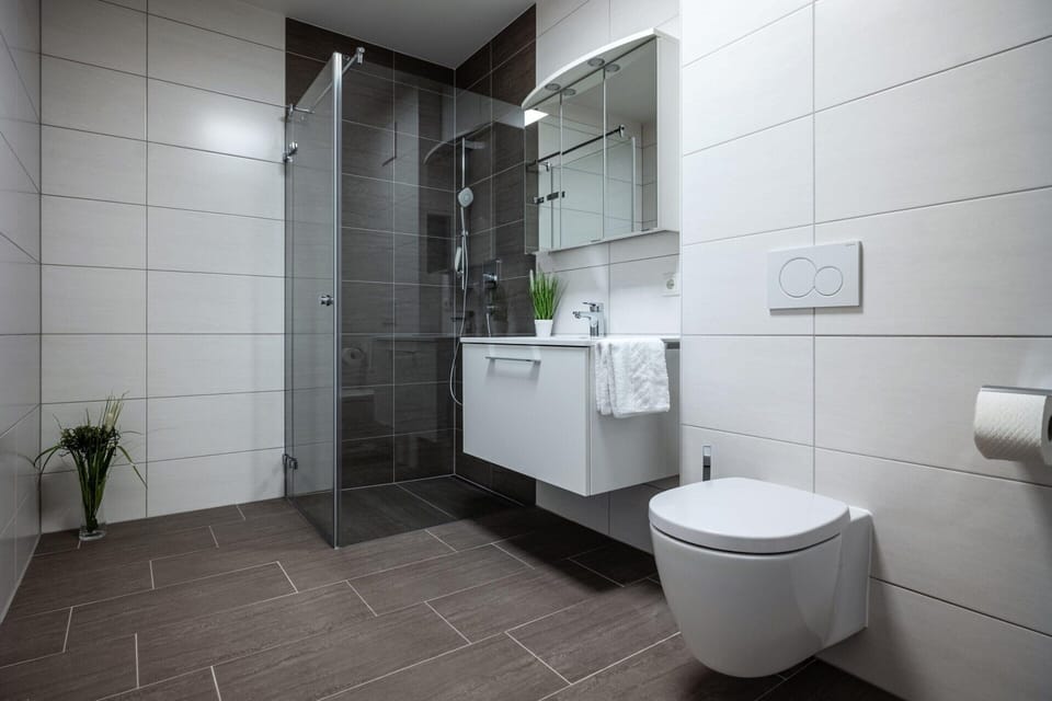 Apartment | Bathroom | Hair dryer