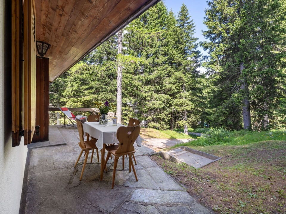 Wood, Cottage, Larch, Hardwood, Log Cabin, Shade, Evergreen