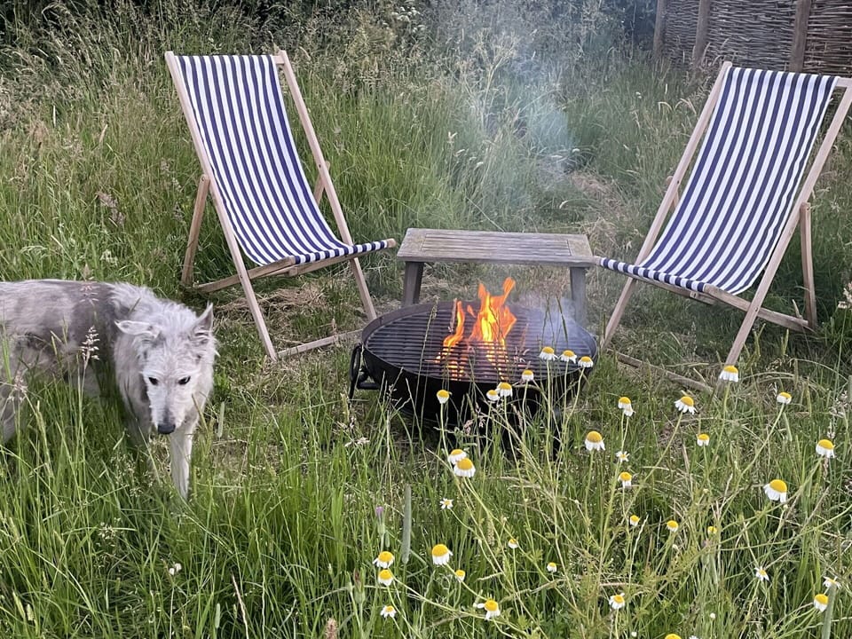 Furniture, Outdoor Furniture, Chair, Folding Chair, Natural Material
