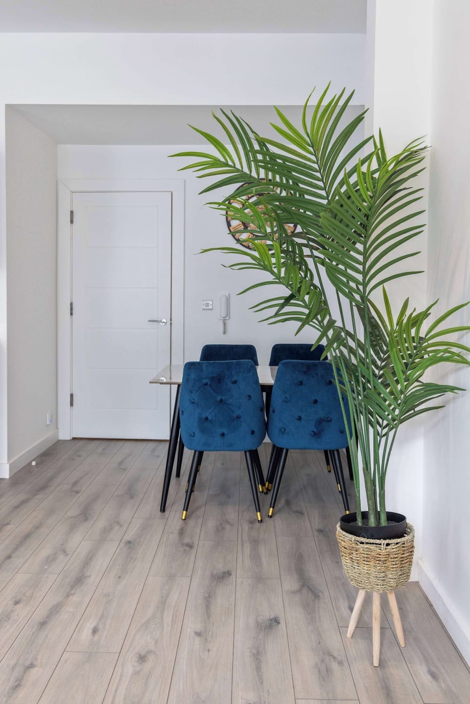 Bright room with natural light
