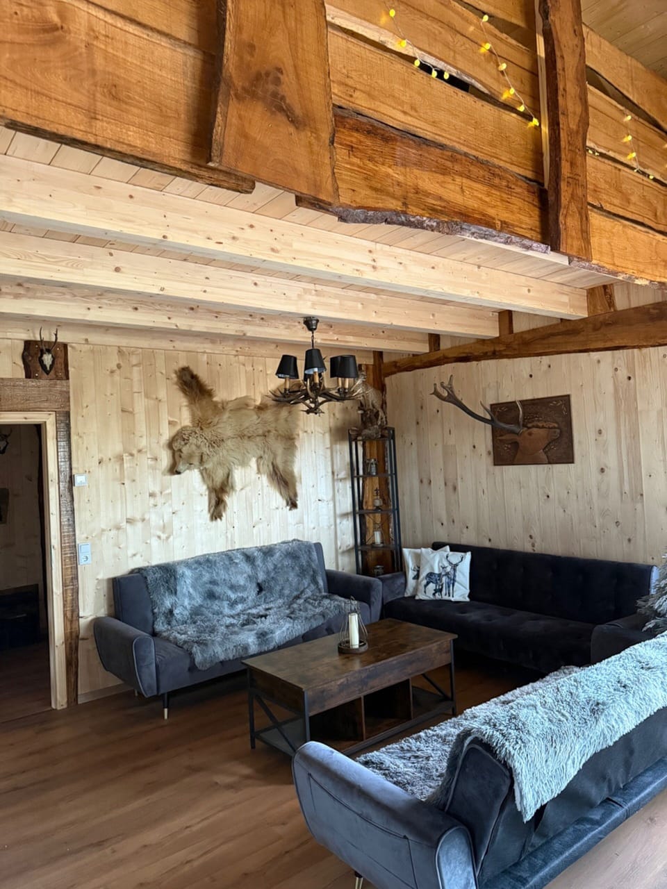 House | Living area