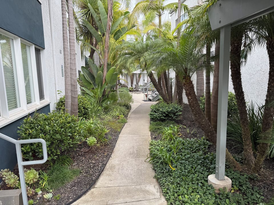 Pathway to back area