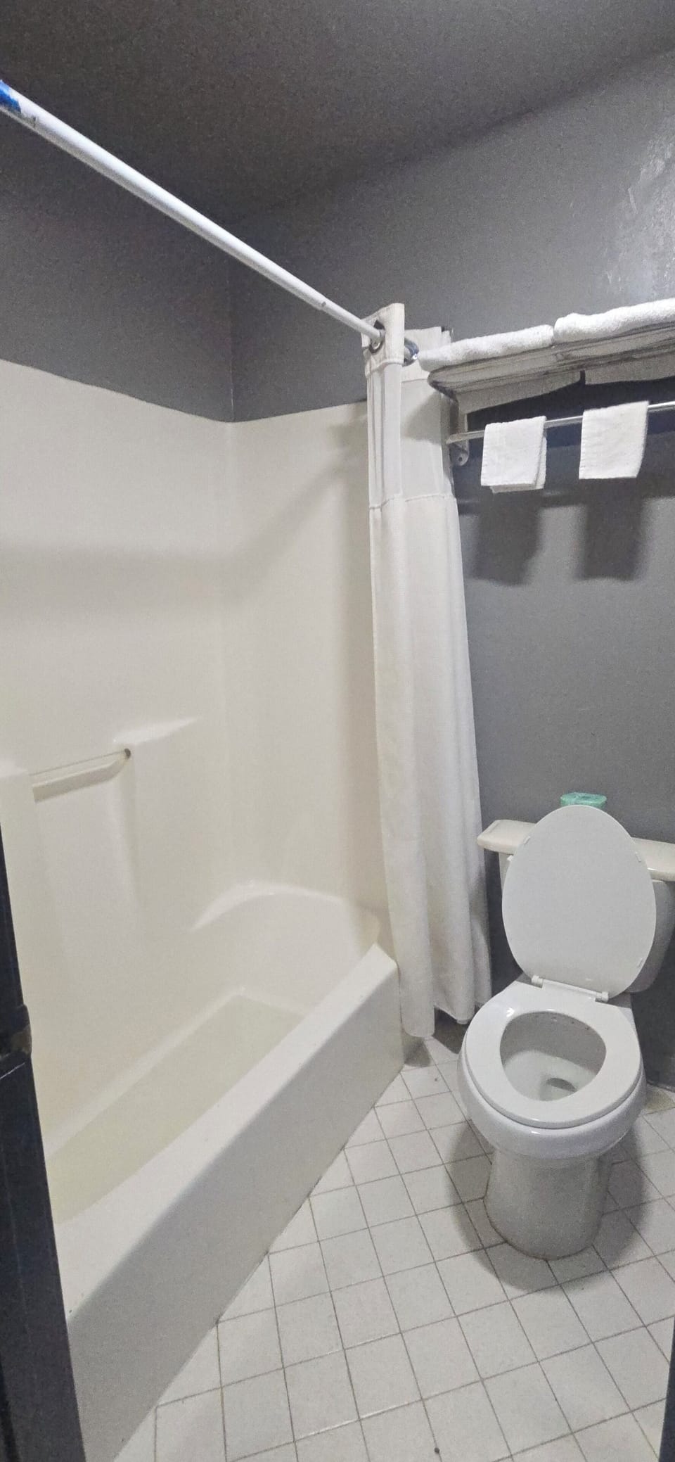 Bathtub, towels, shampoo, toilet paper