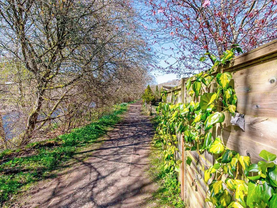 Garden | Tummel Bank, Pitlochry