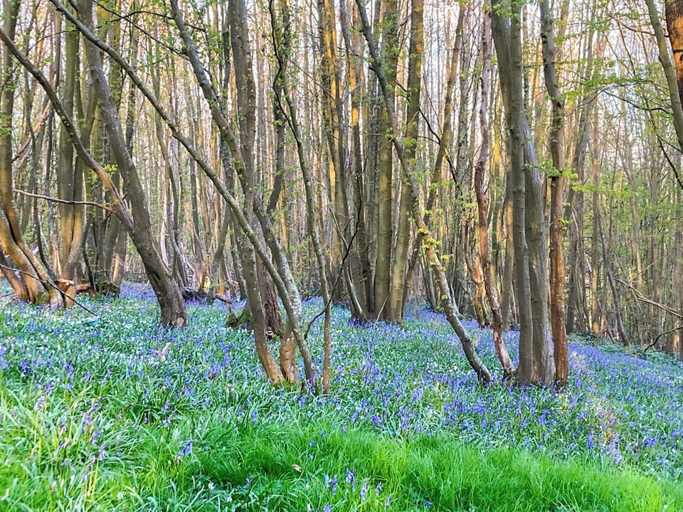 Surrounding area | Swallow - Woodsell Farm, Faversham