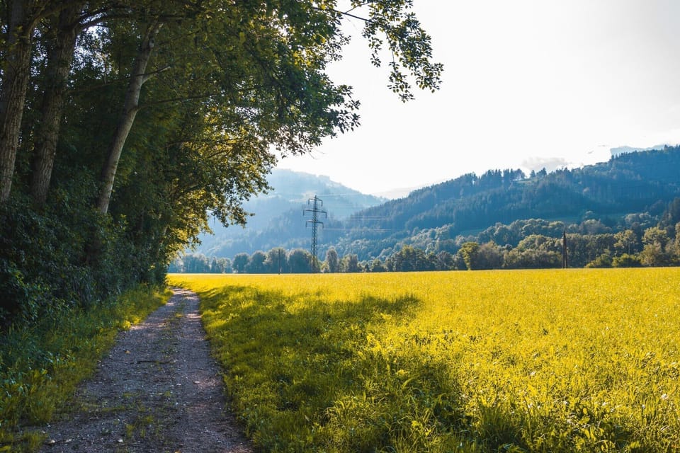 Surroundings [summer] (1-5 km)