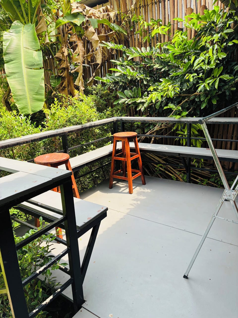 Classic Studio, Mountain View | Garden