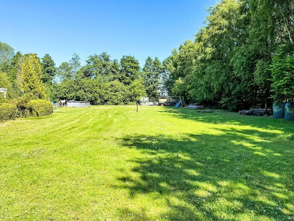 Blue, Tree, Grass, Summer, Shrub, Grassland, Land Lot, Garden, Plain, Lawn