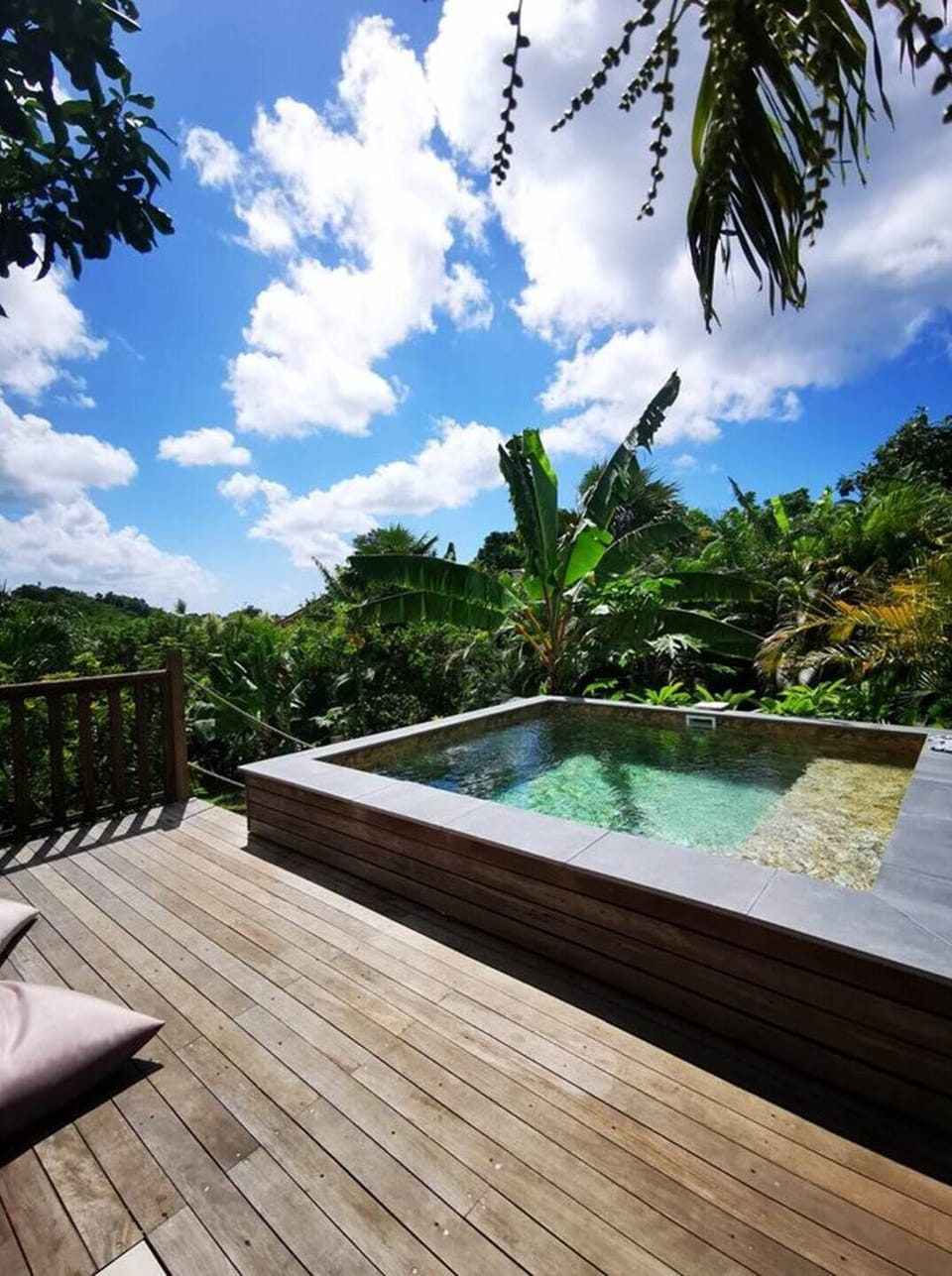piscine-gite-vue-tropicale