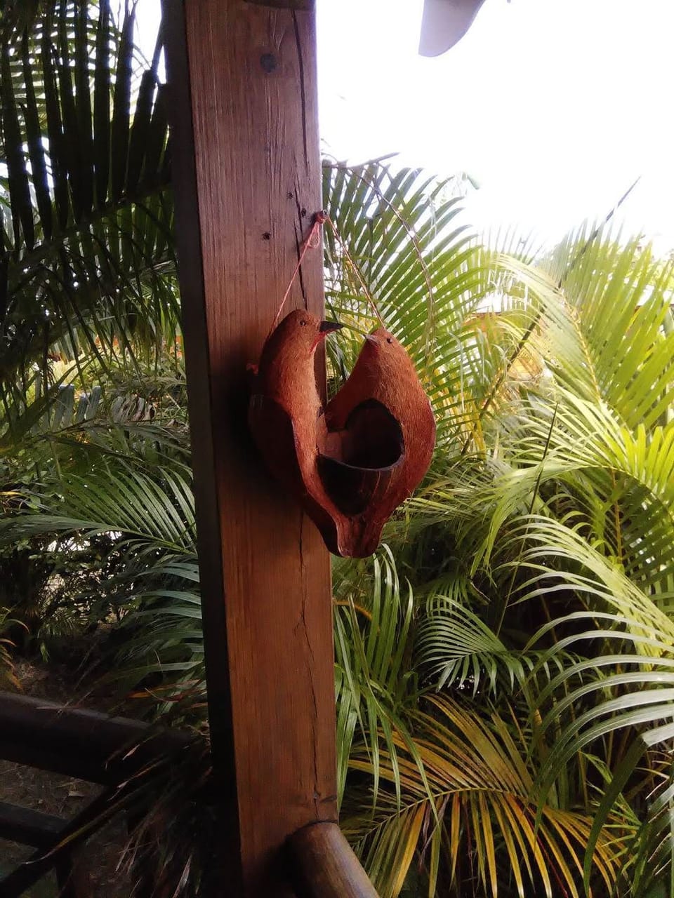 les jardins des balisiers  (31)