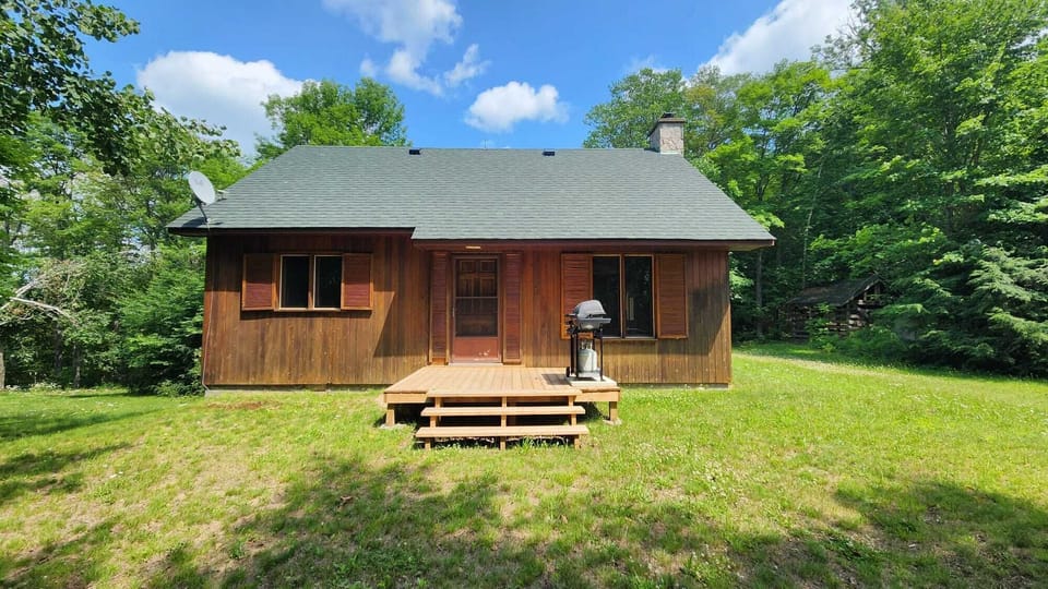 The yard and cabin!