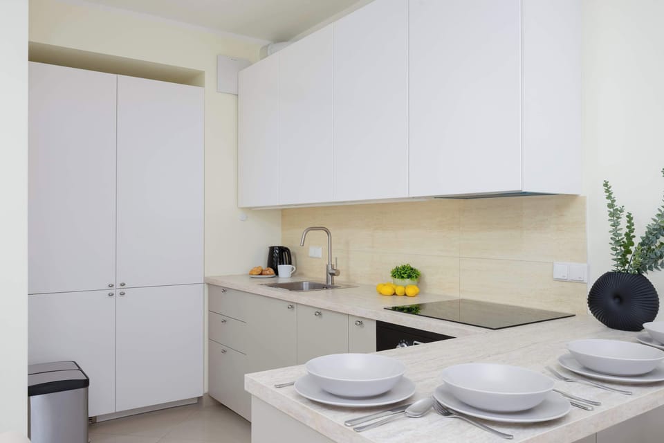 Kitchenette with induction hob, oven with microwave option, refrigerator with freezer, electric kettle, dishwasher and kitchen island.